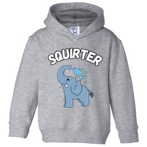 Inappropriate Funny Embarrassing Toddler Hoodie