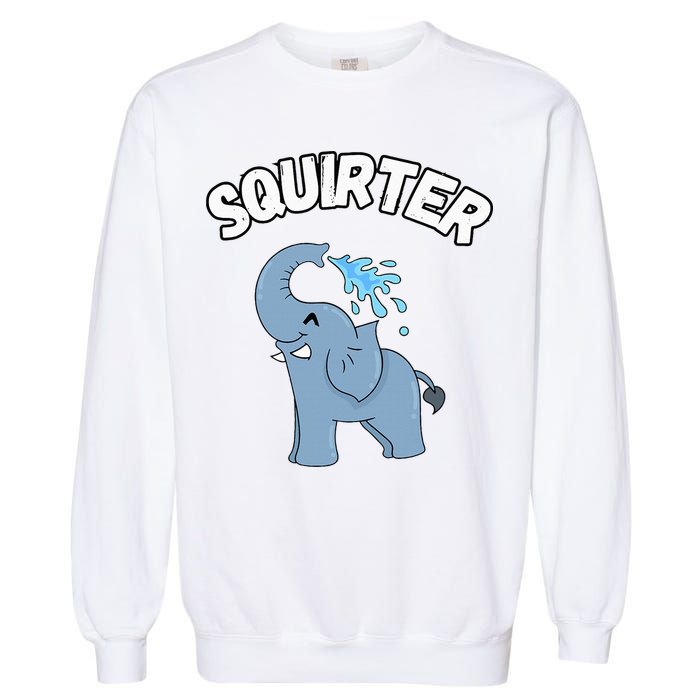 Inappropriate Funny Embarrassing Garment-Dyed Sweatshirt