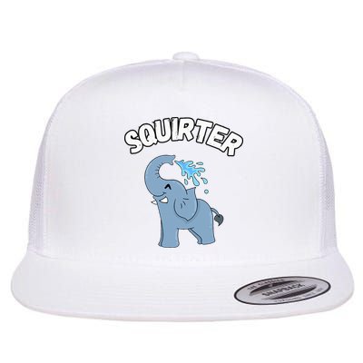 Inappropriate Funny Embarrassing Flatbill Hat