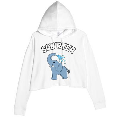 Inappropriate Funny Embarrassing Crop Fleece Hoodie