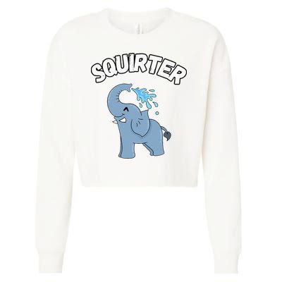 Inappropriate Funny Embarrassing Cropped Pullover Crew