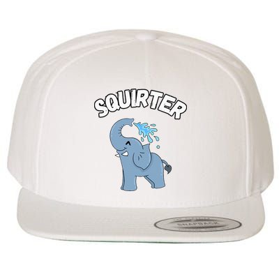 Inappropriate Funny Embarrassing Wool Snapback Cap