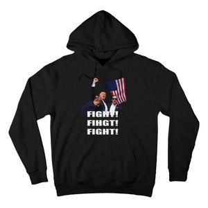 I Fully Endorse President Trump Support Hoodie