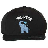 Inappropriate Funny Embarrassing Wool Snapback Cap