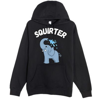 Inappropriate Funny Embarrassing Premium Pullover Hoodie