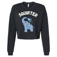Inappropriate Funny Embarrassing Cropped Pullover Crew