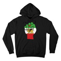 Iranian Flag Female Fist Support Women Of Iran LION SUN FLAG Hoodie