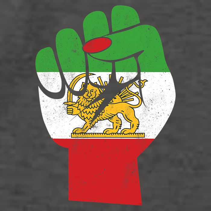 Iranian Flag Female Fist Support Women Of Iran LION SUN FLAG Vector Backpack