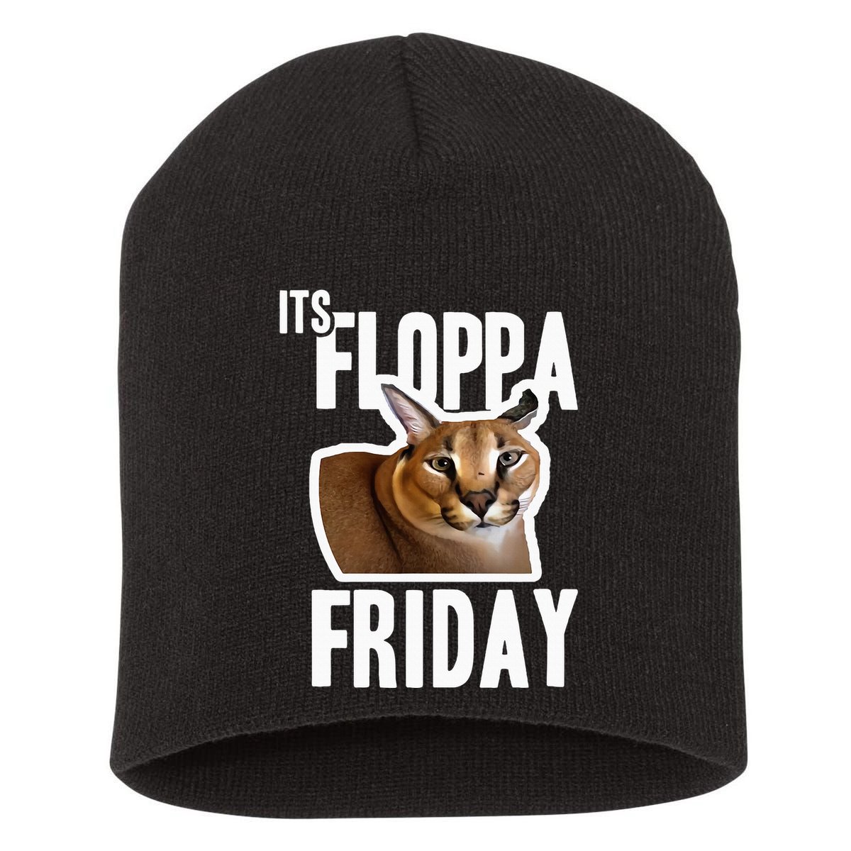 Its Floppa Friday Meme Short Acrylic Beanie