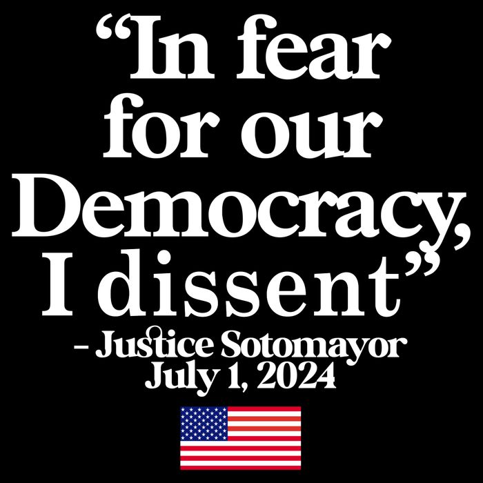 In Fear For Our Democracy I Dessent Justice Sotomayor Usa Drawstring Bag