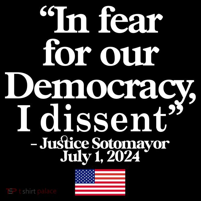 In Fear For Our Democracy I Dessent Justice Sotomayor Usa Flatbill Hat