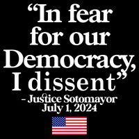 In Fear For Our Democracy I Dessent Justice Sotomayor Usa Bag