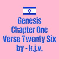 Israel Flag G.E.N.E.S.I.S Chapter One Verse Twenty Six Hoodie