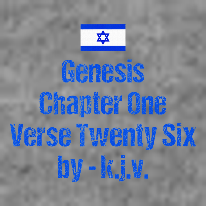 Israel Flag G.E.N.E.S.I.S Chapter One Verse Twenty Six 7-Panel Snapback Hat
