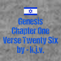 Israel Flag G.E.N.E.S.I.S Chapter One Verse Twenty Six Toddler Sweatshirt