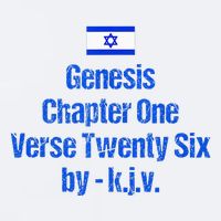 Israel Flag G.E.N.E.S.I.S Chapter One Verse Twenty Six Sueded Cloud Jersey T-Shirt