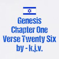 Israel Flag G.E.N.E.S.I.S Chapter One Verse Twenty Six Sustainable Bucket Hat