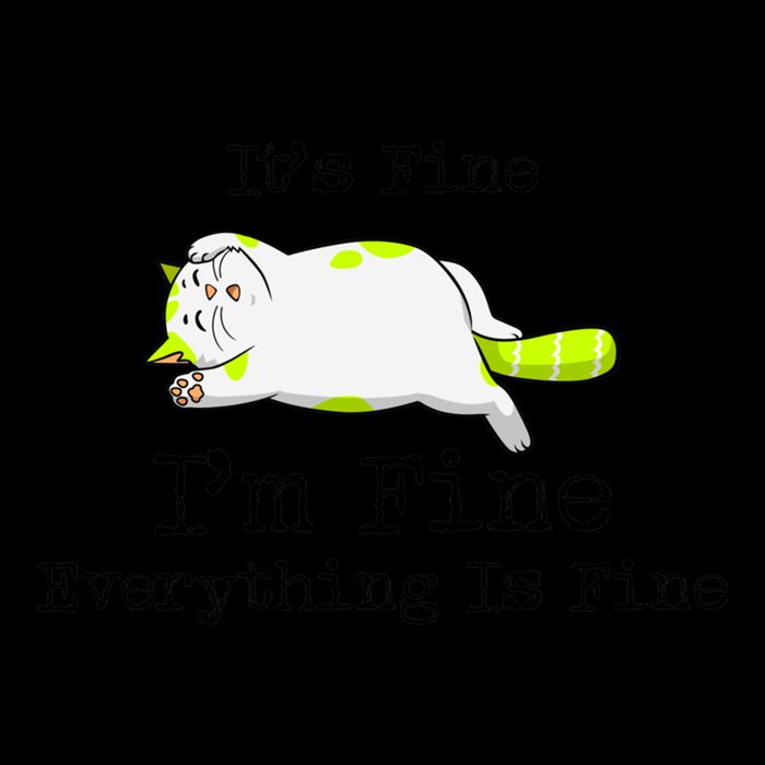 ItS Fine IM Fine Everything Is Fine Funny Lazy Cat Gift Drawstring Bag