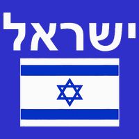 Israel Flag  Israeli Cool Jewish Flags Gift Kids Hoodie