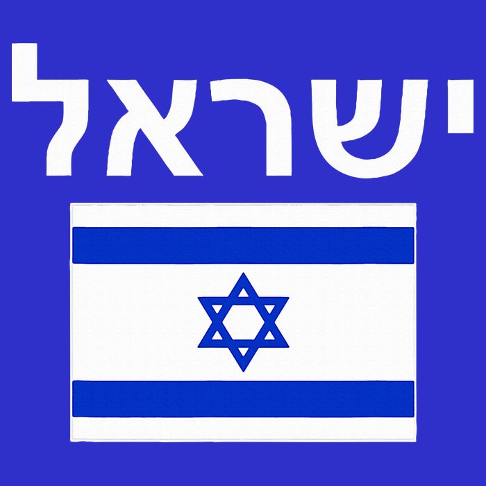 Israel Flag  Israeli Cool Jewish Flags Gift Kids Hoodie
