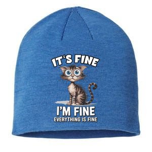 ItS Fine IM Fine Everything Is Fine Funny Cat Meaningful Gift Sustainable Beanie