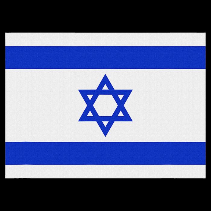 Israeli Flag Israel Jewish Symbol Star Of David Pride Israel Kids Hoodie