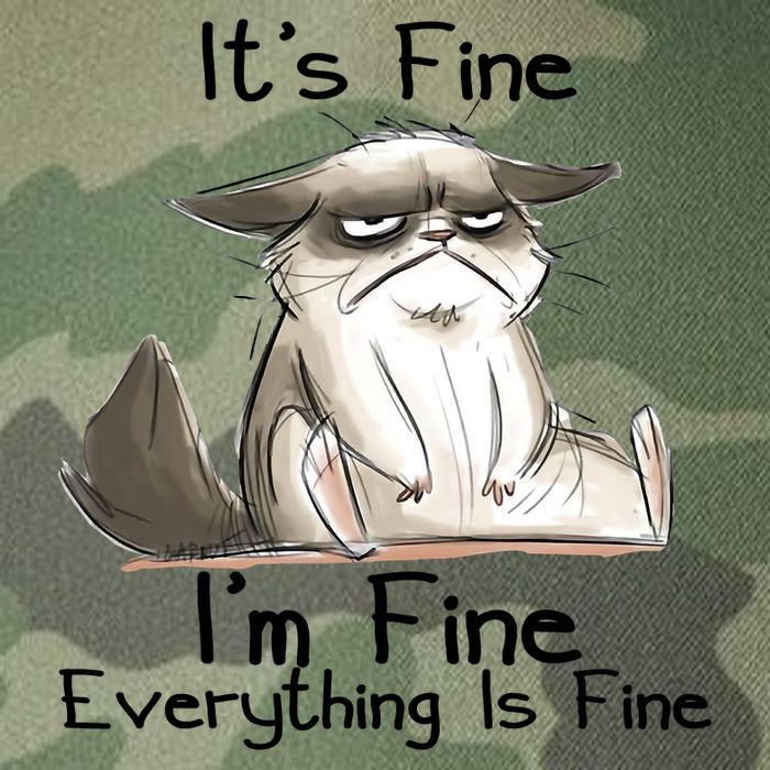 It's Fine I'm Fine Everything Is Fine Angry Cat Funny Quote Legacy Tie Dye Trucker Hat