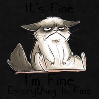 It's Fine I'm Fine Everything Is Fine Angry Cat Funny Quote Ladies PosiCharge Tri-Blend Wicking Tank