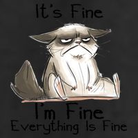 It's Fine I'm Fine Everything Is Fine Angry Cat Funny Quote 7 Panel Mesh Trucker Snapback Hat