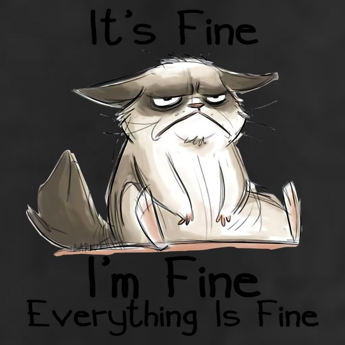 It's Fine I'm Fine Everything Is Fine Angry Cat Funny Quote 7 Panel Mesh Trucker Snapback Hat