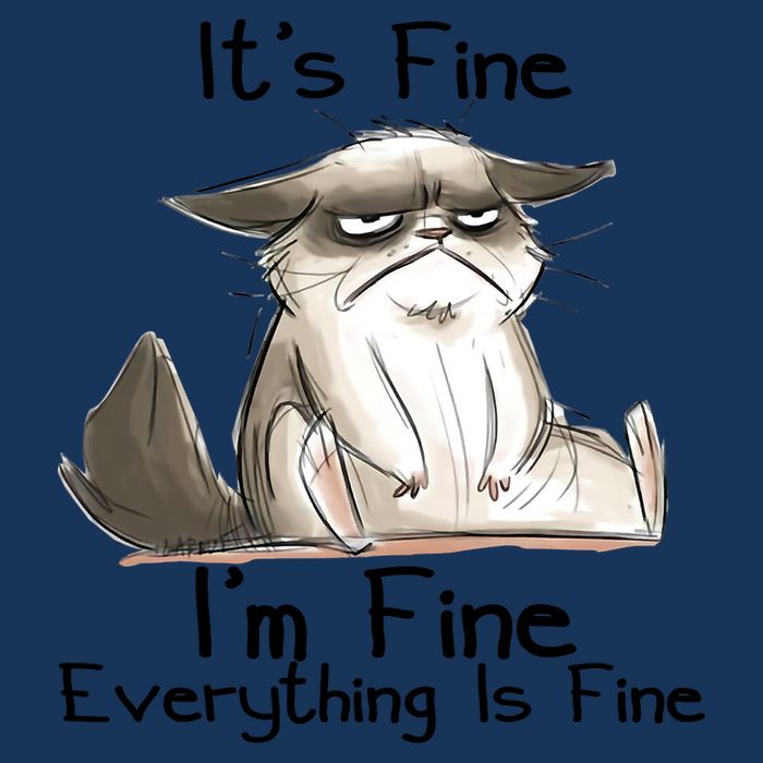 It's Fine I'm Fine Everything Is Fine Angry Cat Funny Quote Infant Baby Jersey Bodysuit