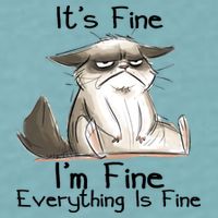 It's Fine I'm Fine Everything Is Fine Angry Cat Funny Quote Sueded Cloud Jersey T-Shirt