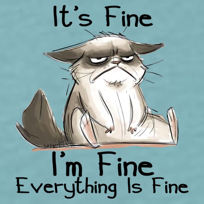 It's Fine I'm Fine Everything Is Fine Angry Cat Funny Quote Sueded Cloud Jersey T-Shirt