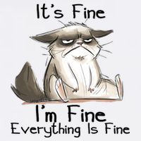 It's Fine I'm Fine Everything Is Fine Angry Cat Funny Quote T-Shirt