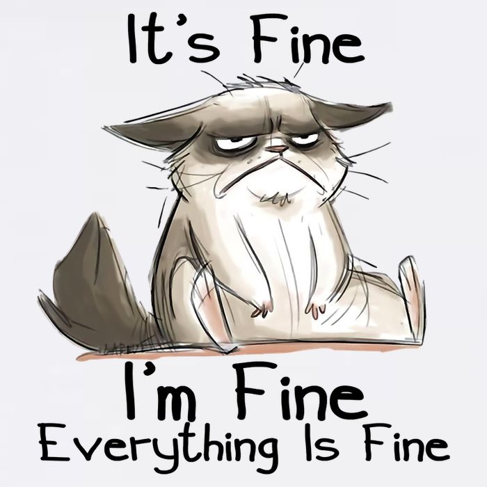 It's Fine I'm Fine Everything Is Fine Angry Cat Funny Quote T-Shirt