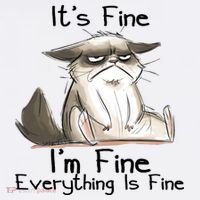 It's Fine I'm Fine Everything Is Fine Angry Cat Funny Quote Poster