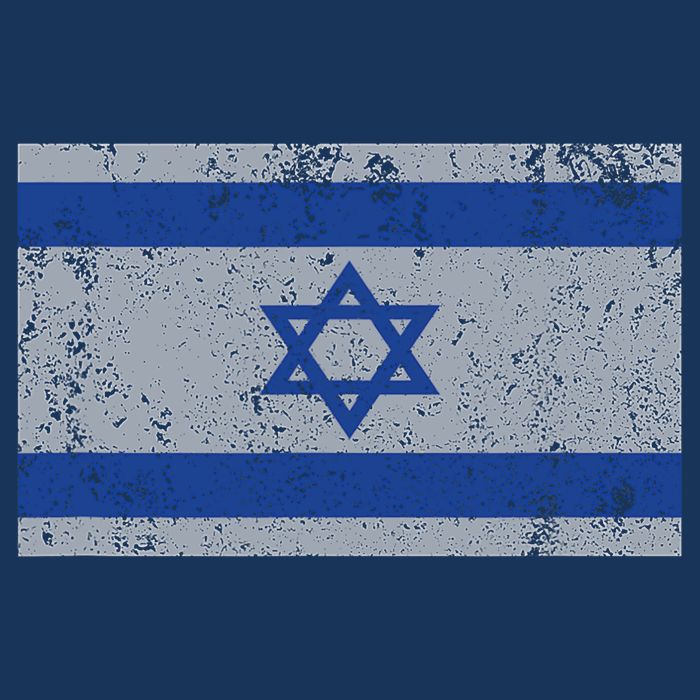 Israeli Flag Israel Jewish I Stand With Israel Sweatshirt