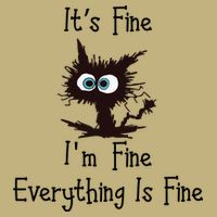 It's Fine I'm Fine Everything Is Fine Funny Cat Hoodie