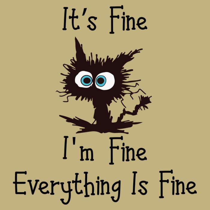It's Fine I'm Fine Everything Is Fine Funny Cat Hoodie