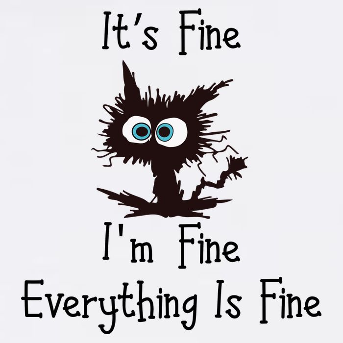 It's Fine I'm Fine Everything Is Fine Funny Cat Garment-Dyed Sweatshirt