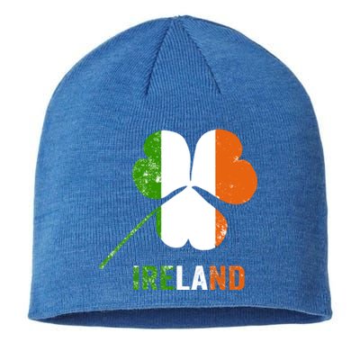 Irish Flag I Love Ireland Tees St Patrick's Gift Sustainable Beanie