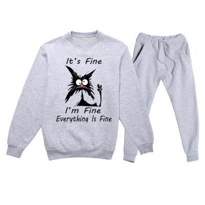 Its Fine Im Fine Everything Is Fine Silly Cat Premium Crewneck Sweatsuit Set