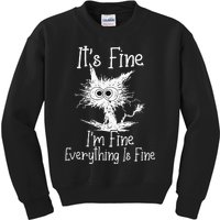 Its Fine Im Fine Everything Is Fine Funny Cat Kids Sweatshirt