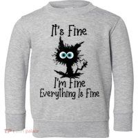 It's Fine I'm Fine Everything Is Fine Cat It's Fine I'm Fine Toddler Sweatshirt