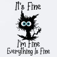 It's Fine I'm Fine Everything Is Fine Cat It's Fine I'm Fine Sueded Cloud Jersey T-Shirt