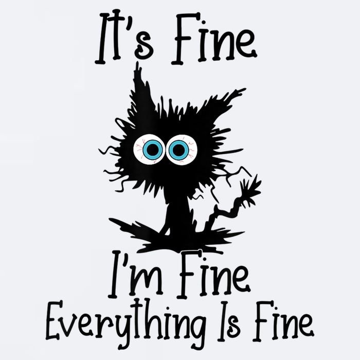 It's Fine I'm Fine Everything Is Fine Cat It's Fine I'm Fine Sueded Cloud Jersey T-Shirt