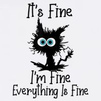 It's Fine I'm Fine Everything Is Fine Cat It's Fine I'm Fine Youth Performance Sprint T-Shirt