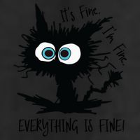 Its Fine Im Fine Everythings Fine Great Gift Funny Cat Gift 11oz C Handle Ceramic Mug