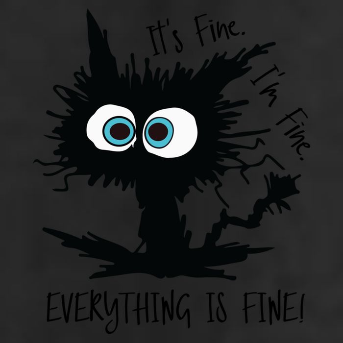 Its Fine Im Fine Everythings Fine Great Gift Funny Cat Gift 11oz C Handle Ceramic Mug