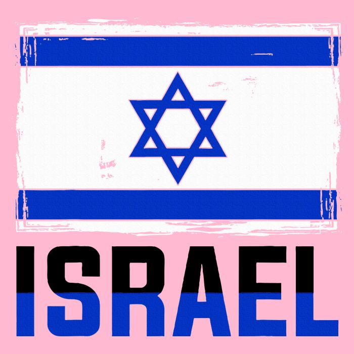 Israel Flag Israel Toddler T-Shirt